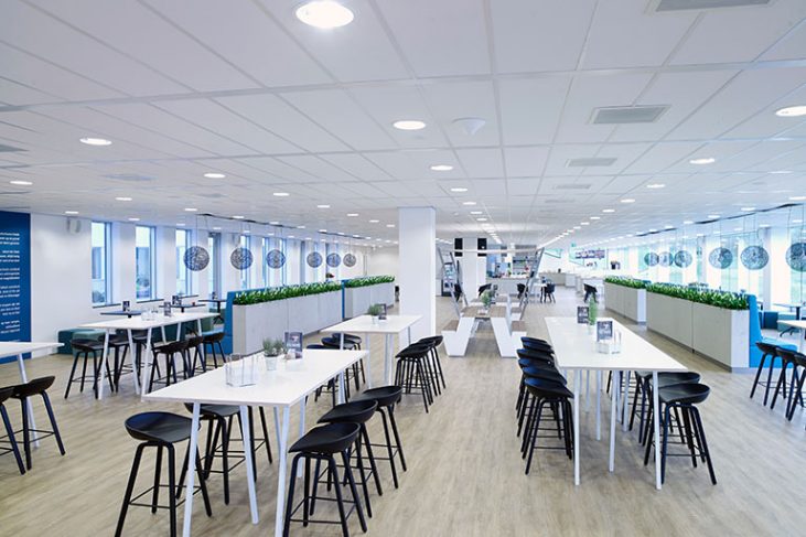 Detailaufnahme S 18d