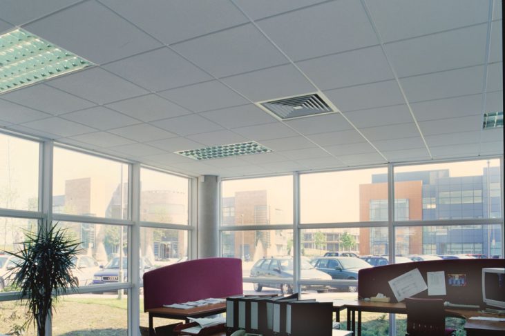 Detailaufnahme Cosmos/O