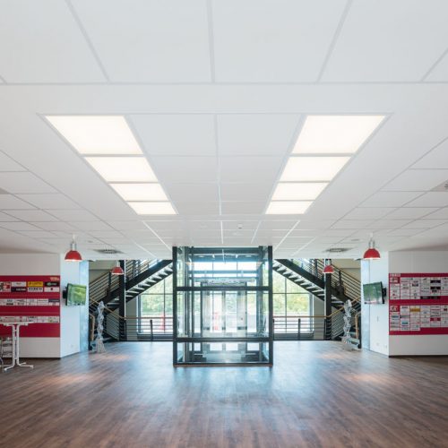 Lifetime plus LED (mikropryzmatyczna)