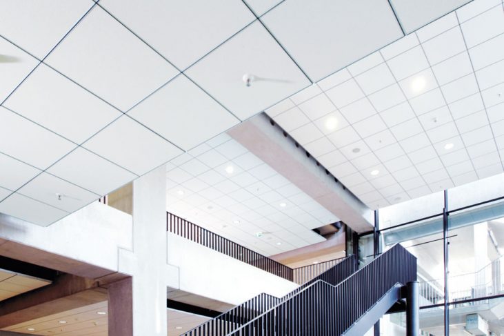 Detailaufnahme S 15b