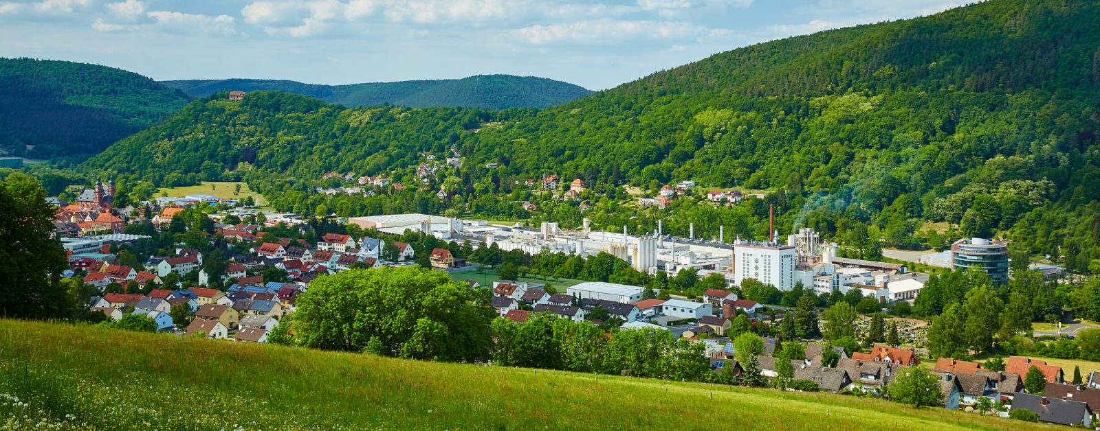 Gesamtanlage OWA - Odenwald Faserplattenwerk