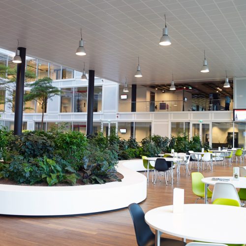 SoZaWe, Groningen