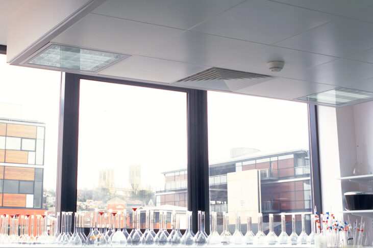 Detailaufnahme Rg0702