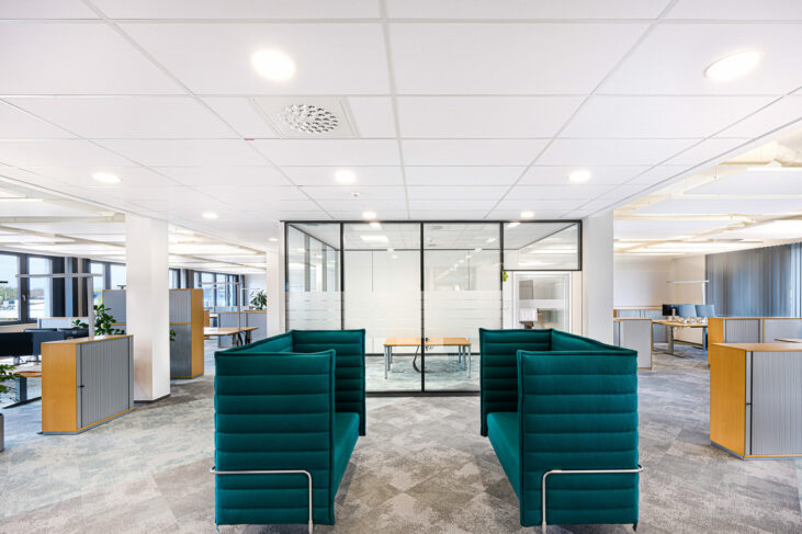 Detailaufnahme Brillianto 95